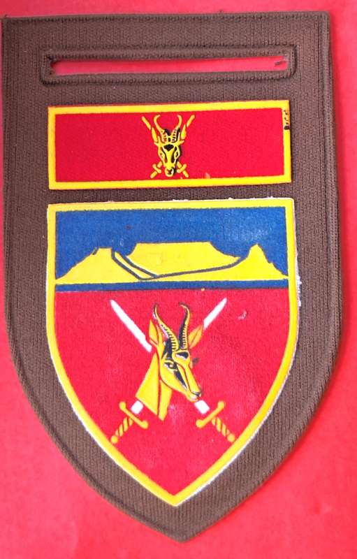 SADF Western Province Command tupperware flash with Chief of the Army Command Badge