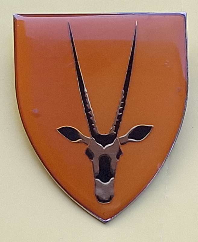 SADF 8 SA Infantry Battalion Metal Flash