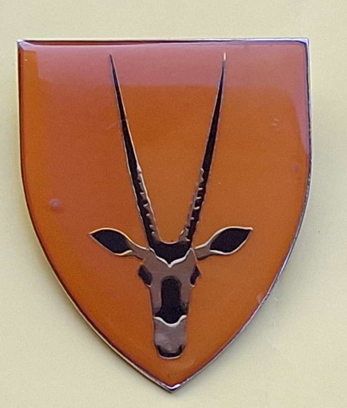 SADF 8 SA Infantry Battalion Metal Flash