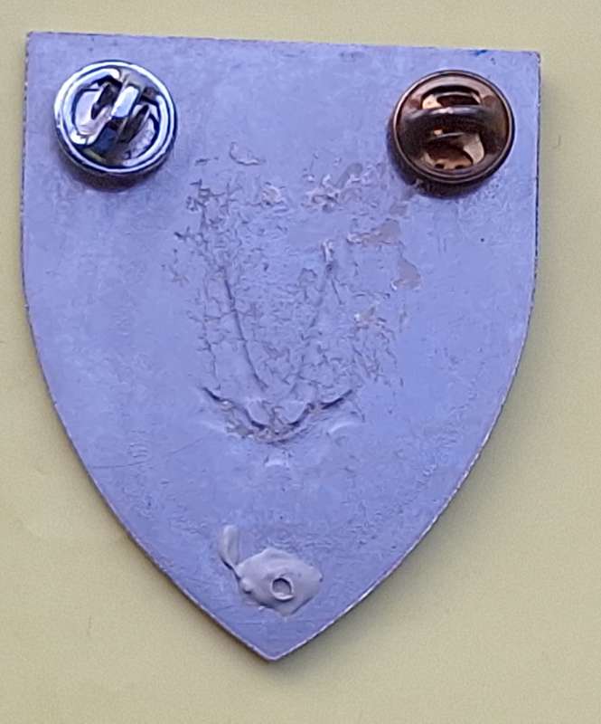 SADF 8 SA Infantry Battalion Metal Flash