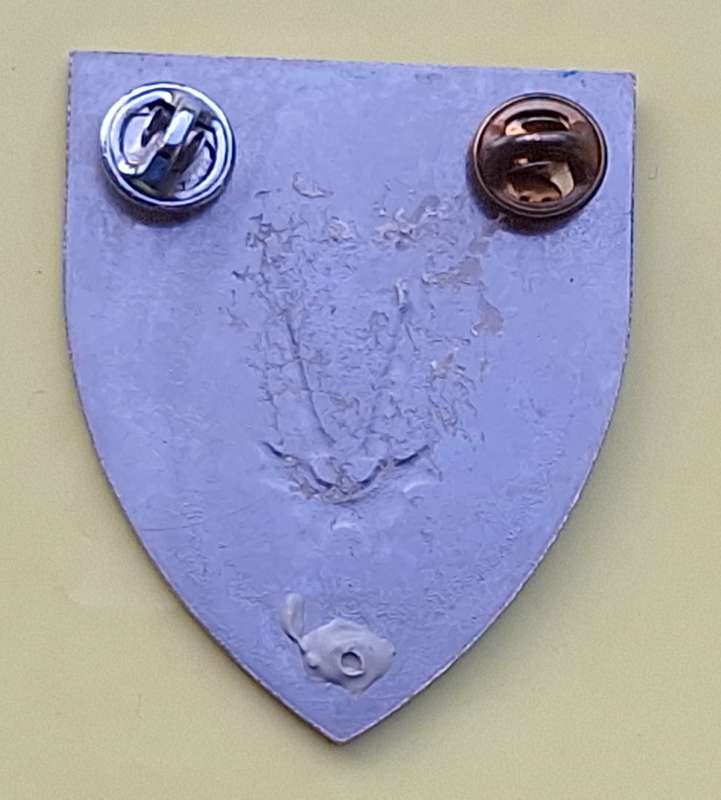 SADF 8 SA Infantry Battalion Metal Flash