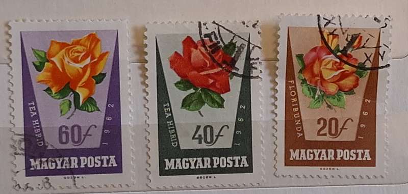 Hungary 1962 Roses 3 Used Hinged stamps
