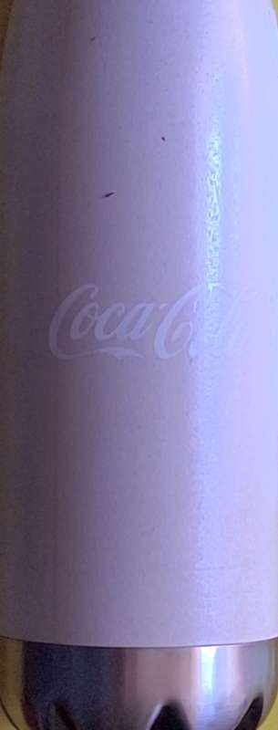 Coca-Cola Peninsula Beverages Water Bottle with screw on lid
