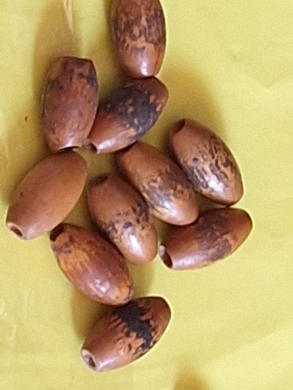 Oval Wooden Beads (24 in packet)