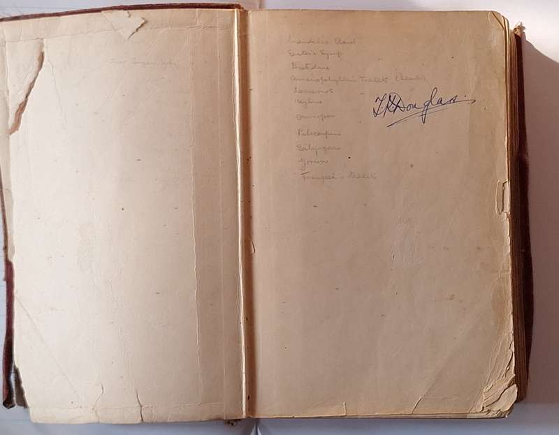 The American Illustrated Medical Dictionary by W A Newman Dorland Soft cover 1932
