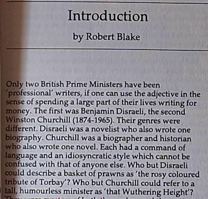 The Sayings of Winston Churchill Paperback