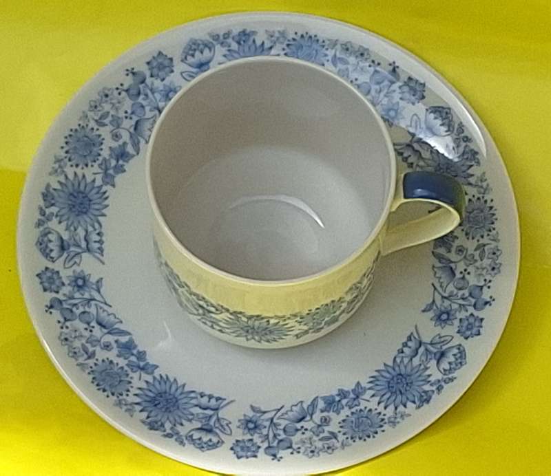 Royal Doulton Cranbourne (Blue Flower) Duo (Tea Cup and Saucer Flatter Style)