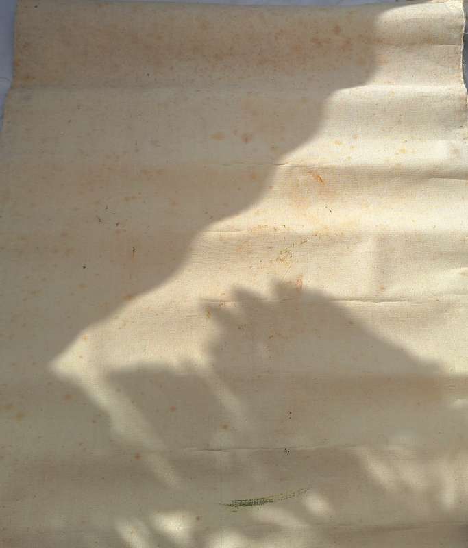 Damaged Tang Ping Canvas