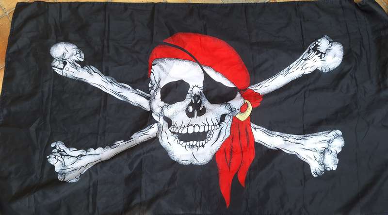 Jolly Roger Pirate Flag