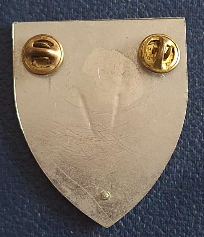SADF 8 SA Infantry Battalion Metal Flash (Darker Brown Type)