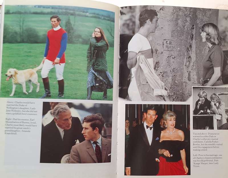 The Royal Marriages by Lady Colin Campbell Hardcover 1993