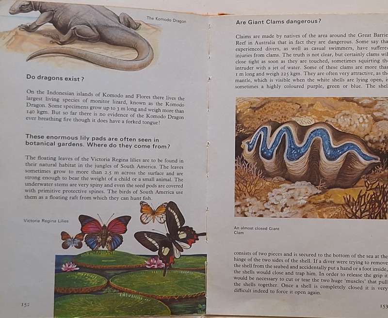 What do you know? Kenneth Allen, Neil Ardley, Alan Blackwood, Jean Stroud, Arthur Thomas Hardcover