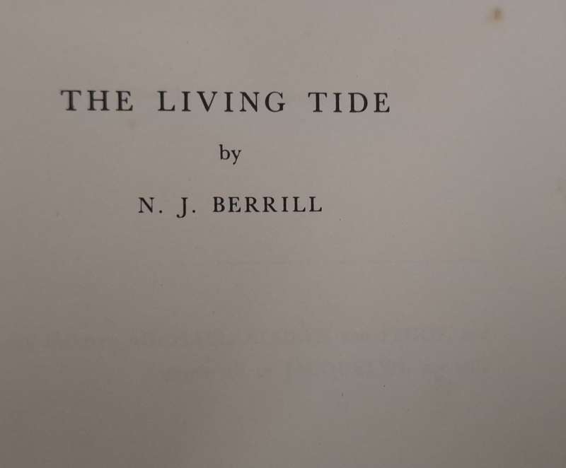 The Living Tide by N J Berrill Hardcover