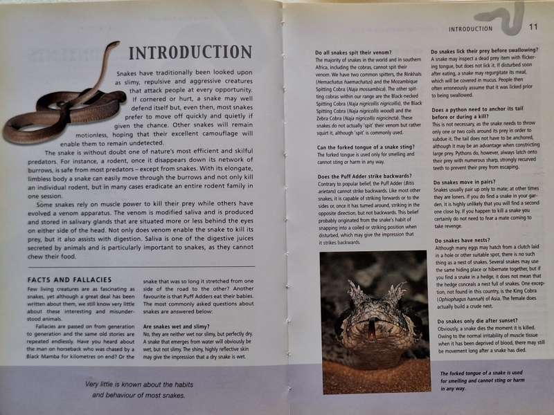 Snakes of Southern Africa by Johan Marais Paperback