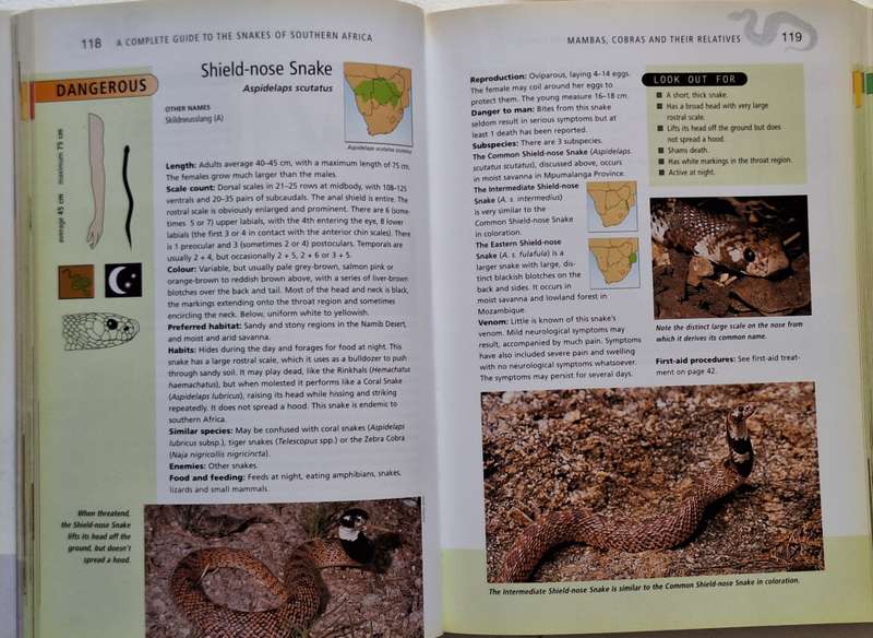 Snakes of Southern Africa by Johan Marais Paperback