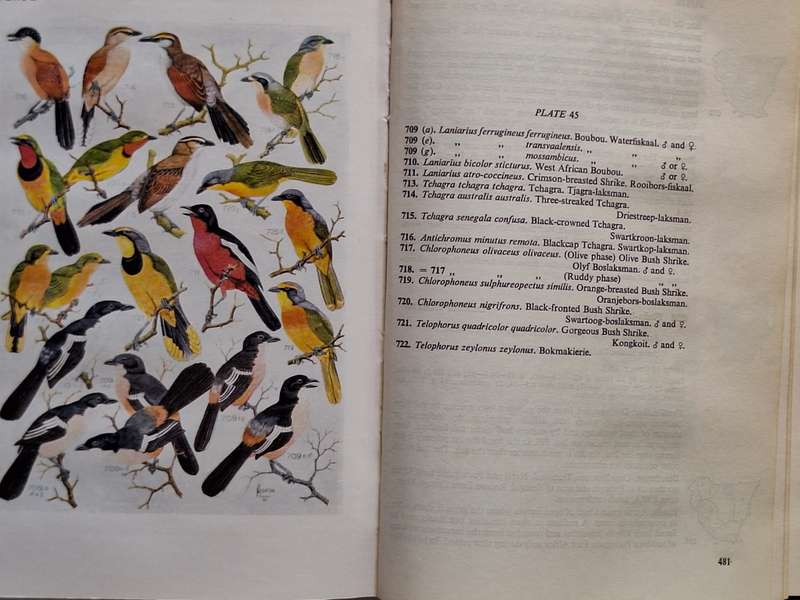 Roberts Birds of South Africa Hardcover 1975 Third Edition Fourth Impression