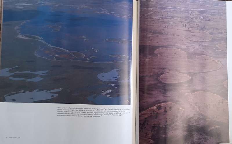 Okavango from the Air by Herman Potgieter and Clive Walker Hardcover 1989