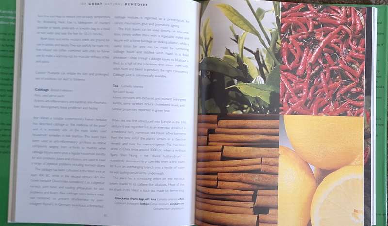 100 Great Natural Remedies: Using Healing Plants at Home by Penelope Ody Hardcover