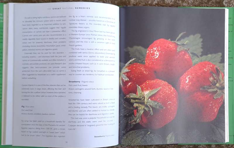 100 Great Natural Remedies: Using Healing Plants at Home by Penelope Ody Hardcover