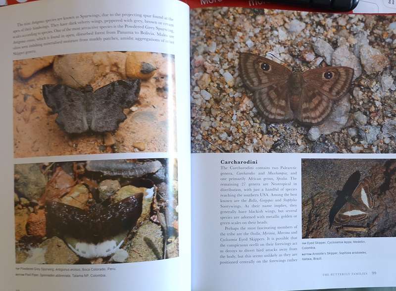 Butterflies of the World by Adrian Hoskins Hardcover 2015
