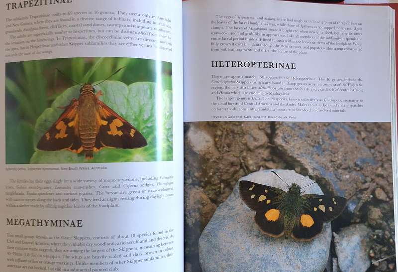 Butterflies of the World by Adrian Hoskins Hardcover 2015
