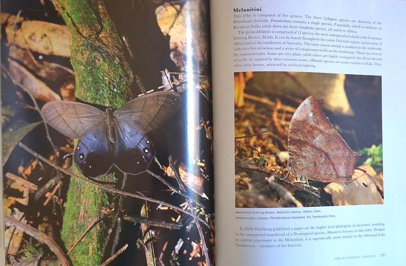 Butterflies of the World by Adrian Hoskins Hardcover 2015