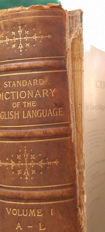 Standard Dictionary of the English Language  Large Hardcover  1899