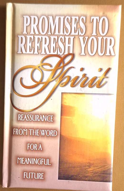 Promises to Refresh Your Spirit: Reassurance from the Word for a Meaningful Future Hardcover