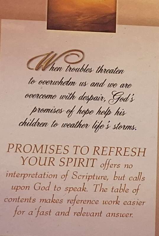 Promises to Refresh Your Spirit: Reassurance from the Word for a Meaningful Future Hardcover