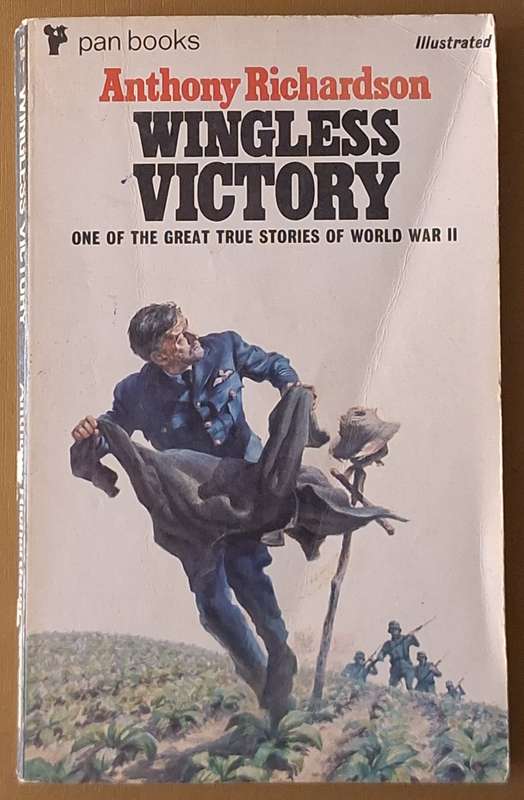 Wingless Victory by Anthony Richardson Paperback