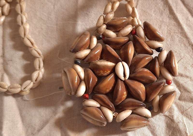 Cowrie Shell Necklace