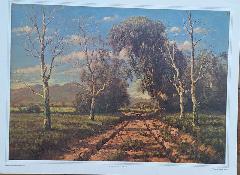 Unframed Reproduction Tinus de Jongh  Avenue, Cape Flats