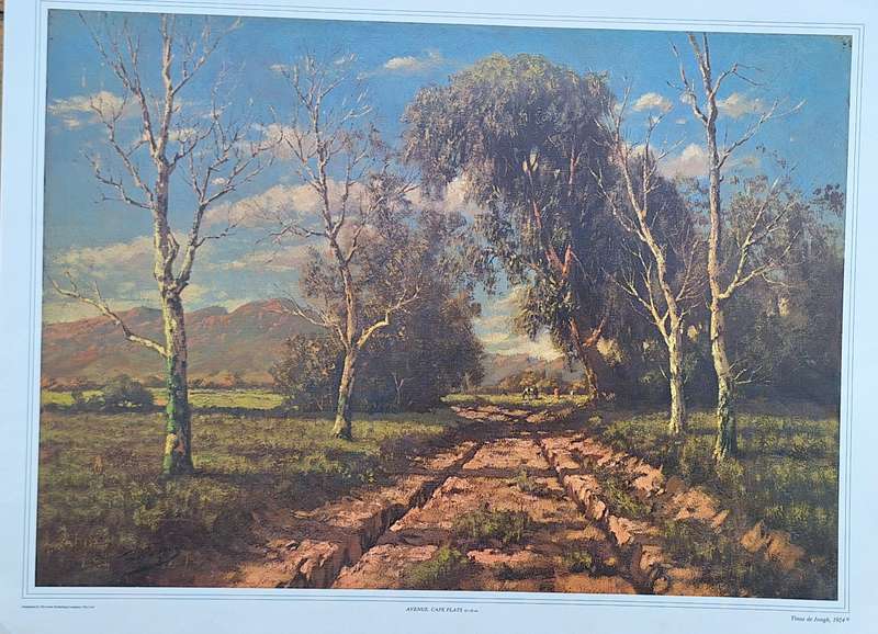 Unframed Reproduction Tinus de Jongh  Avenue, Cape Flats