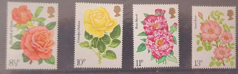 GB 1976 Roses Presentation Pack 81 Set of 4 Mint stamps