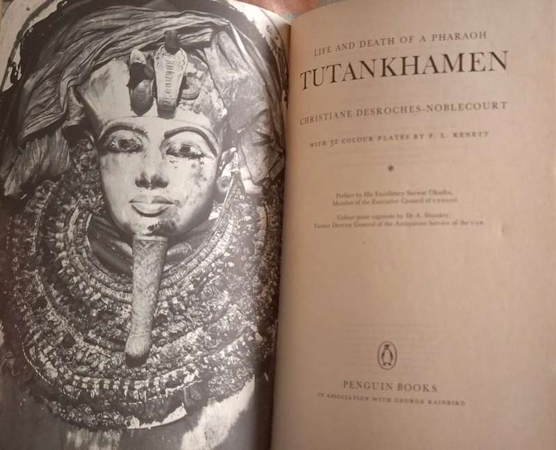 Tutankhamen by Christiane Desroches-Noblecourt Paperback
