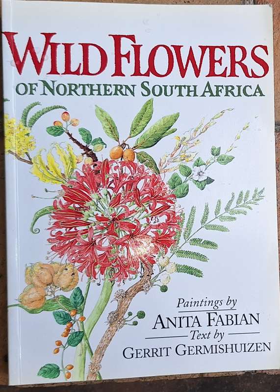 Wild Flowers of Northern South Africa by Anita Fabian and Gerrit Germishuizen Paperback