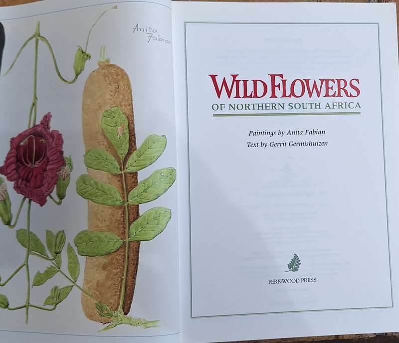 Wild Flowers of Northern South Africa by Anita Fabian and Gerrit Germishuizen Paperback