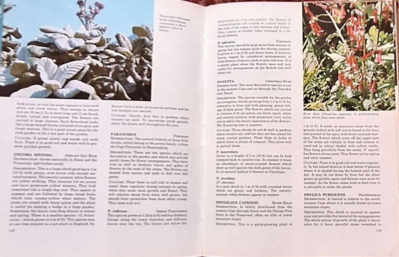 South African Shrubs & Trees for the Garden by Una van der Spuy Hardcover