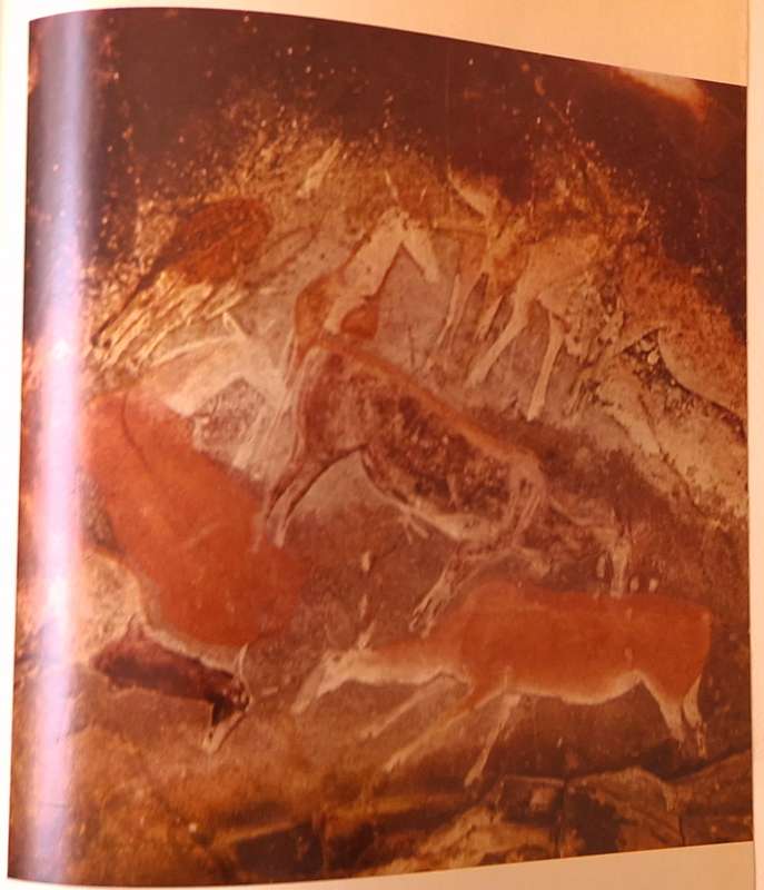 South Africa in Colour by Kurt Peter Karfeld Hardcover 1959