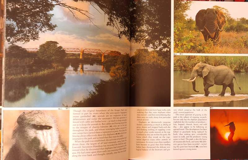 This is South Africa by August Sycholt and Peter Schirmer Paperback 1990 Fourth Impression