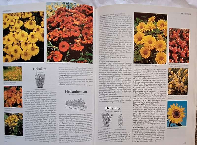 Reader's Digest Encyclopaedia of Garden Plants and Flowers Hardcover 1973 Second Revise
