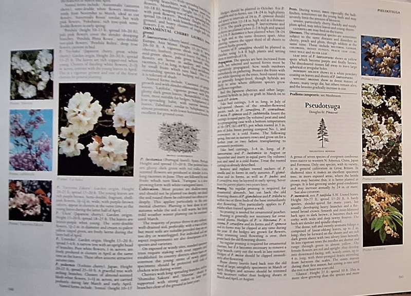 Reader's Digest Encyclopaedia of Garden Plants and Flowers Hardcover 1973 Second Revise