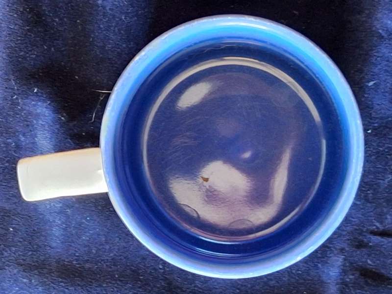 Disney Lion King Mug
