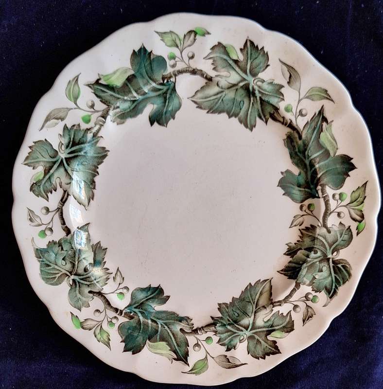 Johnson Brothers Vintage Cream (Green Ivy & Berries) Plate