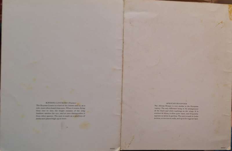 2 Blank Union Castle Safmarine Menu Cards