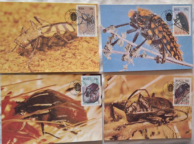 South Africa 1987 Beetles Set of 4 Maxi Cards