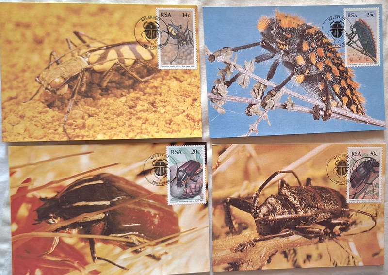 South Africa 1987 Beetles Set of 4 Maxi Cards