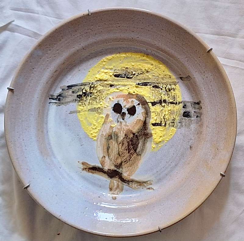 Large Plate Wall Hanging with Owl design and fitted metal hanging frame