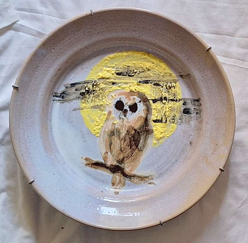 Large Plate Wall Hanging with Owl design and fitted metal hanging frame