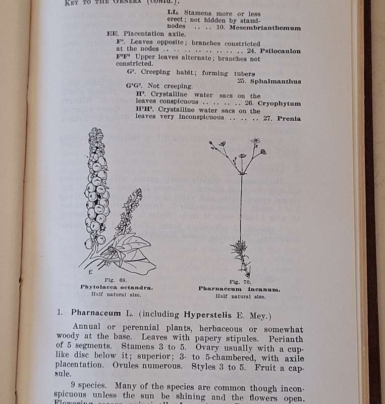 A Guide to the Flora of The Cape Peninsula by M.R Levyns Hardcover Introduction dated 1929
